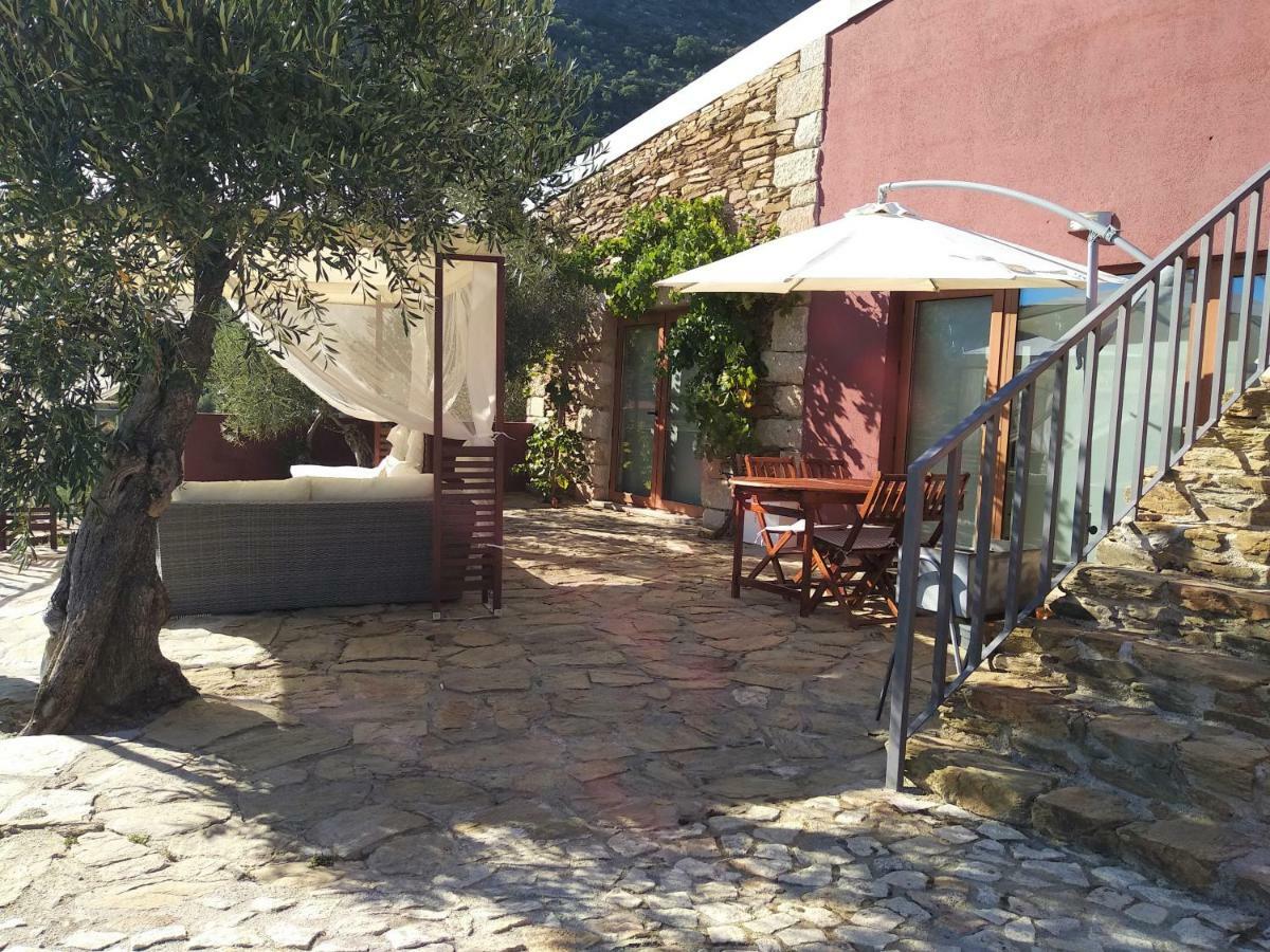 Quinta Vale De Carvalho Guest House Pinhal do Douro Ngoại thất bức ảnh