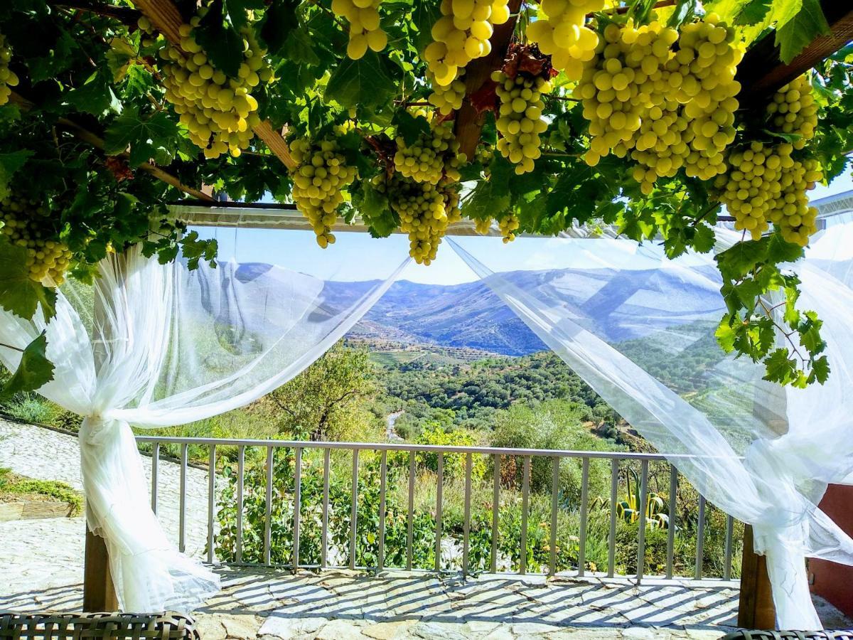 Quinta Vale De Carvalho Guest House Pinhal do Douro Ngoại thất bức ảnh
