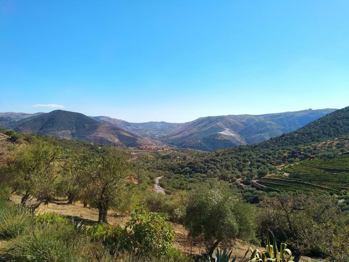 Quinta Vale De Carvalho Guest House Pinhal do Douro Ngoại thất bức ảnh