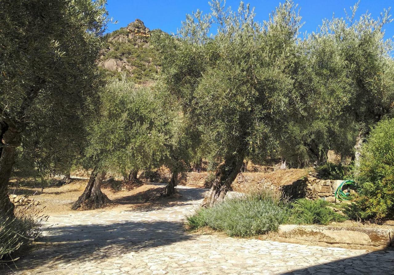 Quinta Vale De Carvalho Guest House Pinhal do Douro Ngoại thất bức ảnh
